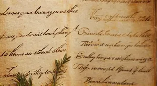 Echoes of the Past: Reinterpreting Ancient Dye Recipes
