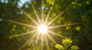 Saffron Threads: Weaving Sunlight into Fabric